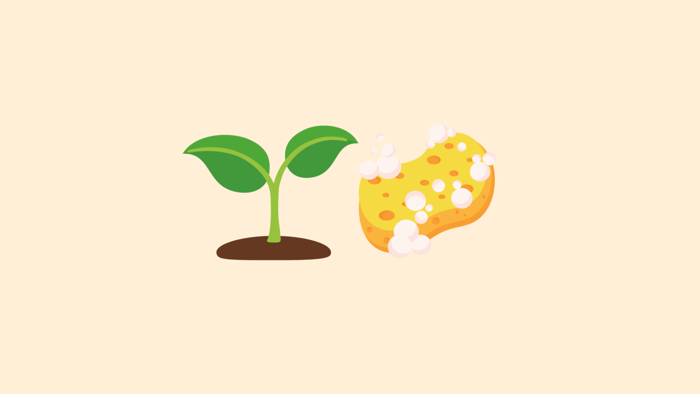 Greenwashing article